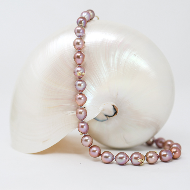 hannah blount pink pearl wiht barnacles necklace, crown of venus